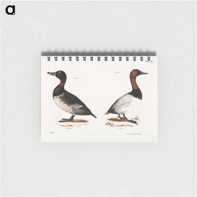アートメモ帳-Bastard Broadbill - ニューヨークの動物学 Memo.