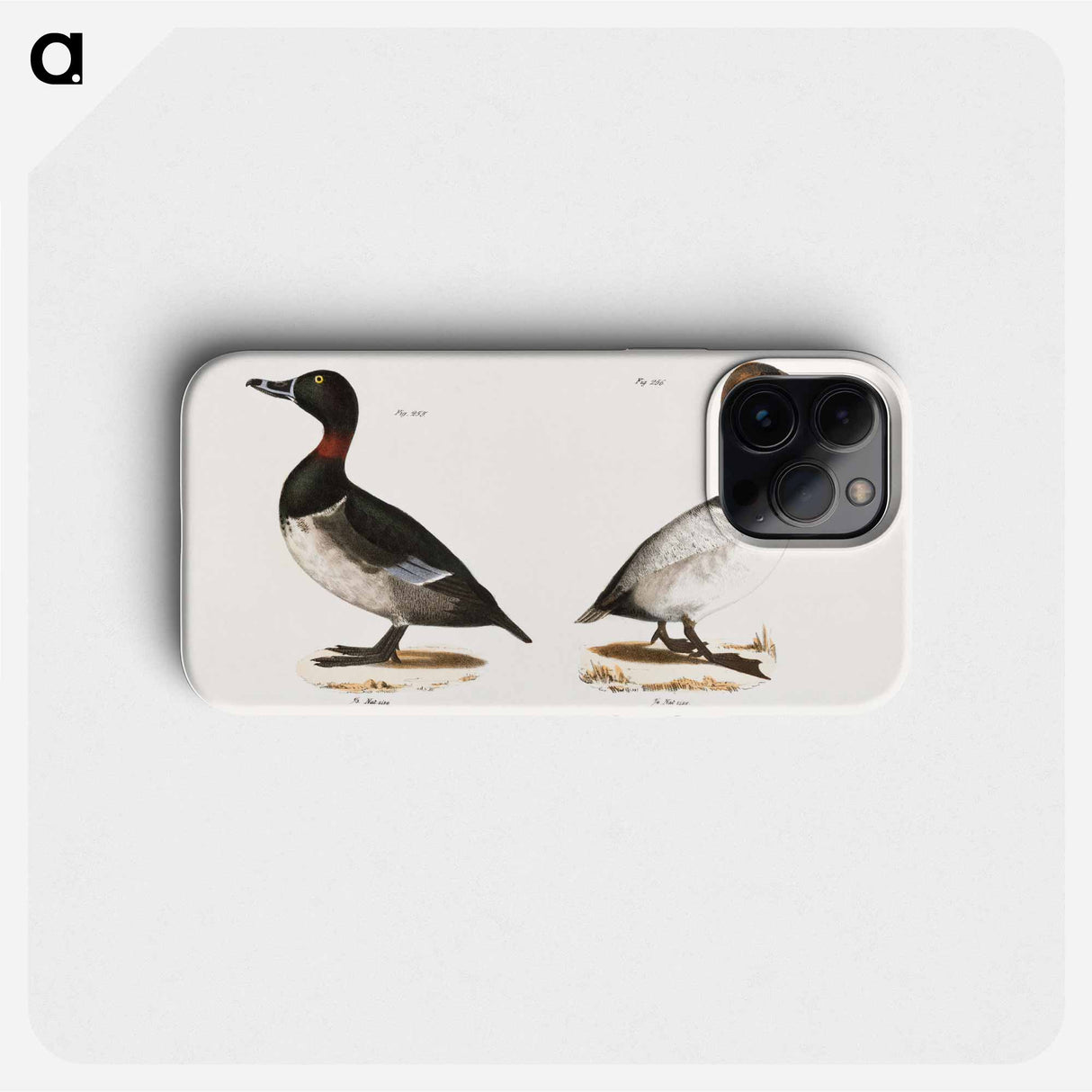 Bastard Broadbill - ニューヨークの動物学 Phone Case.