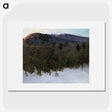 1-47_Abbott-Handerson-Thayer_picture