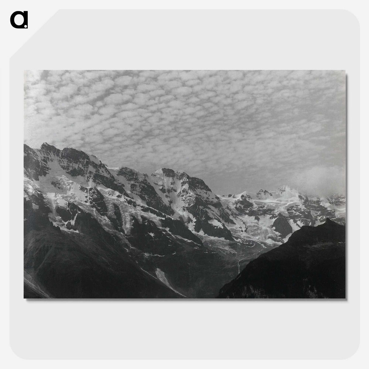1-47_Alfred-Stieglitz_picture-crop