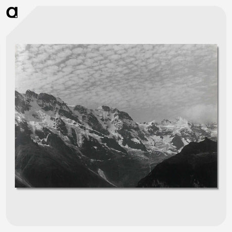 1-47_Alfred-Stieglitz_picture-crop