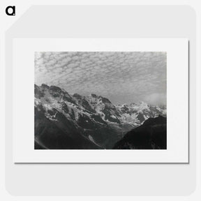 1-47_Alfred-Stieglitz_picture