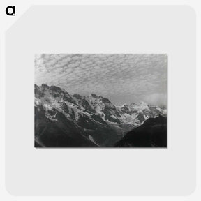 1-47_Alfred-Stieglitz_postcard