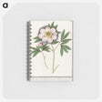 1-47_Anselmus-Boetius-de-Boodt_memo