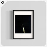 1-47_Apollo-Moon-Landing_blk