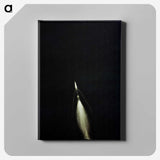 1-47_Apollo-Moon-Landing_canvas