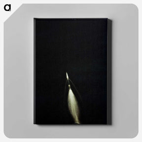 1-47_Apollo-Moon-Landing_canvas