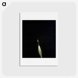 1-47_Apollo-Moon-Landing_hagaki