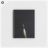 1-47_Apollo-Moon-Landing_memo