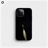 1-47_Apollo-Moon-Landing_phone