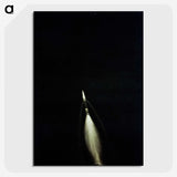1-47_Apollo-Moon-Landing_picture-crop