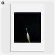 1-47_Apollo-Moon-Landing_picture