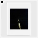 1-47_Apollo-Moon-Landing_picture