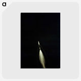 1-47_Apollo-Moon-Landing_postcard