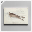 1-47_Charles-Hamilton-Smith_canvas