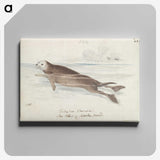 1-47_Charles-Hamilton-Smith_canvas