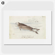 1-47_Charles-Hamilton-Smith_picture