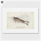 1-47_Charles-Hamilton-Smith_picture
