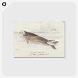 1-47_Charles-Hamilton-Smith_postcard