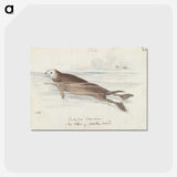 1-47_Charles-Hamilton-Smith_postcard