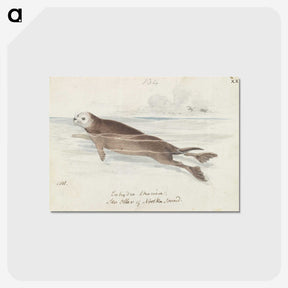 1-47_Charles-Hamilton-Smith_postcard
