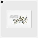 1-47_Christmas_hagaki