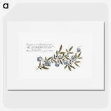 1-47_Christmas_picture