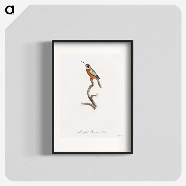 1-47_Des-Oiseaux-de-Paradis_blk