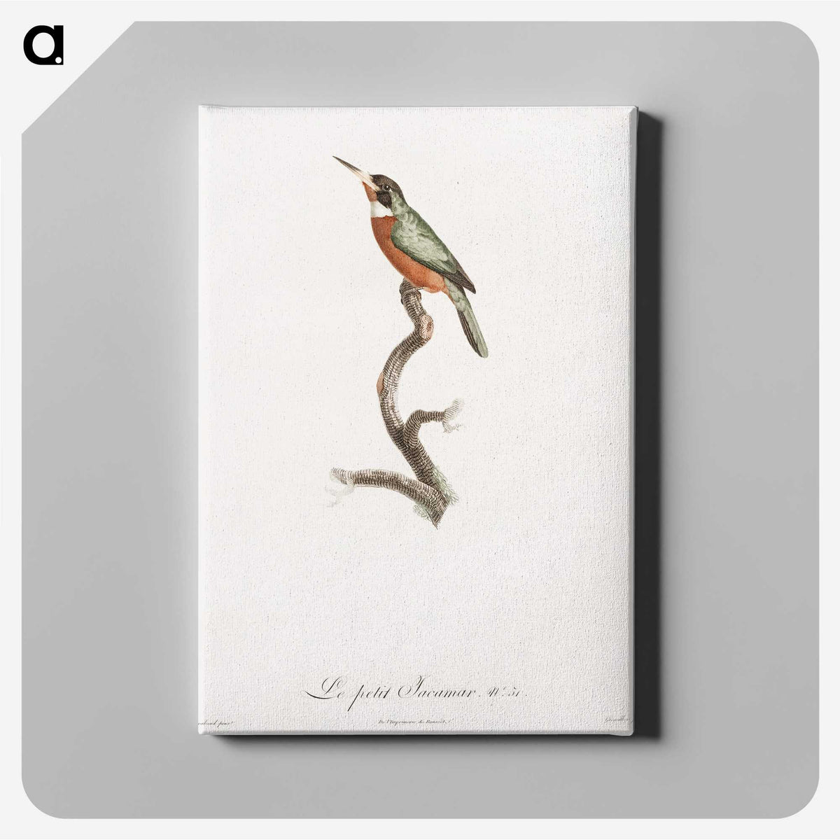 1-47_Des-Oiseaux-de-Paradis_canvas
