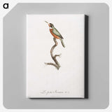 1-47_Des-Oiseaux-de-Paradis_canvas