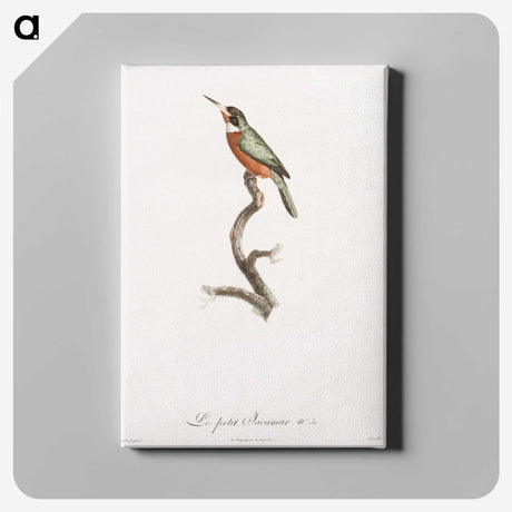 1-47_Des-Oiseaux-de-Paradis_canvas