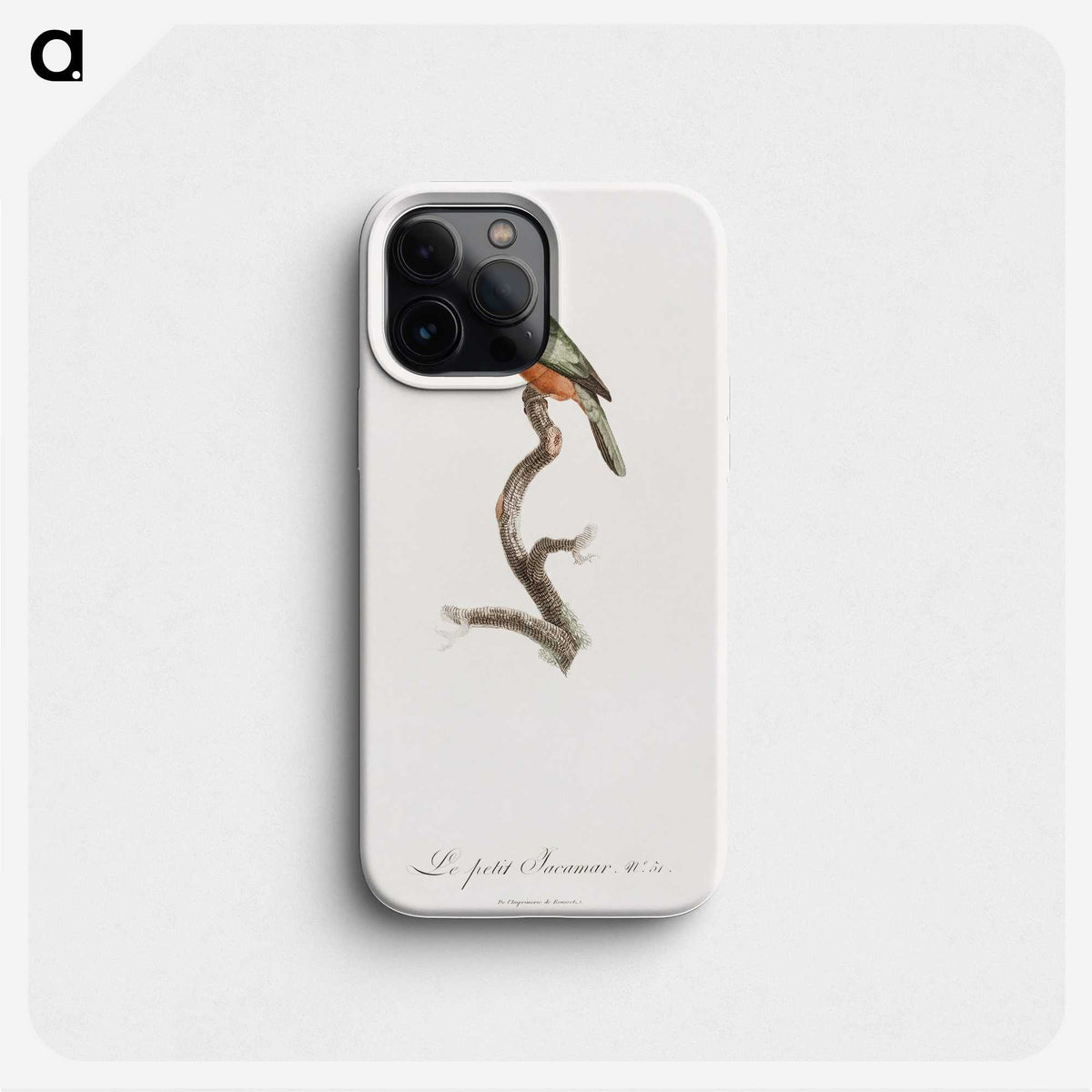 1-47_Des-Oiseaux-de-Paradis_phone
