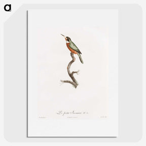 1-47_Des-Oiseaux-de-Paradis_picture