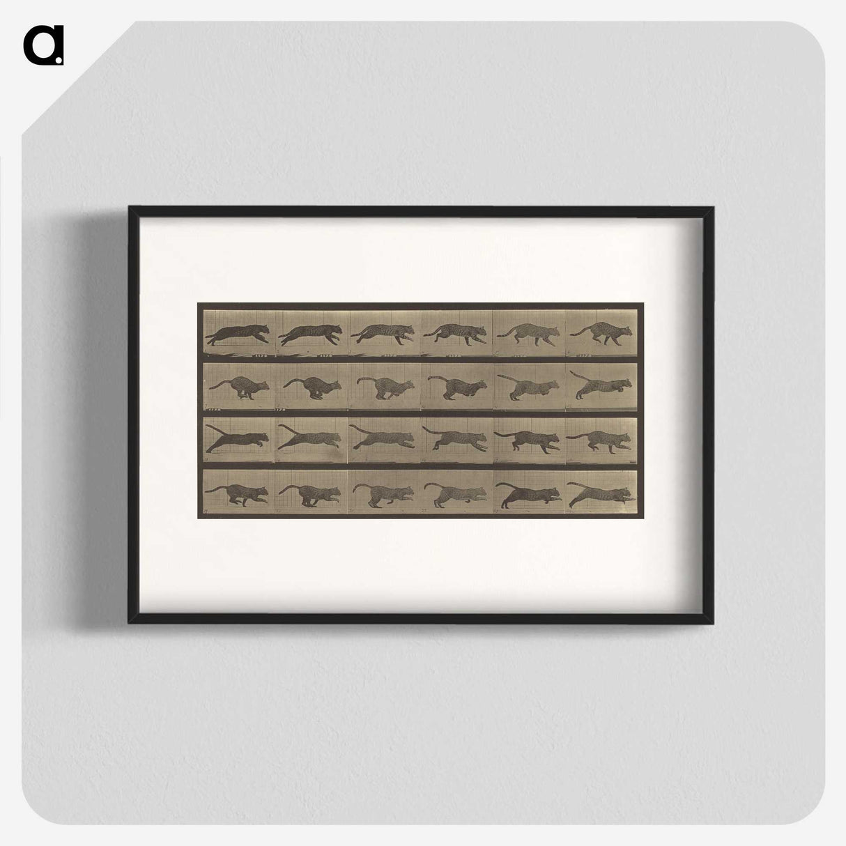 1-47_Eadweard-Muybridge_blk