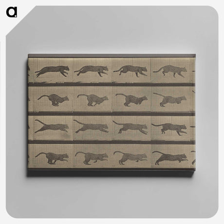 1-47_Eadweard-Muybridge_canvas