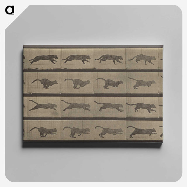 1-47_Eadweard-Muybridge_canvas
