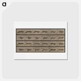 アートポストカード-Animal Locomotion
 - エドワード マイブリッジ Postcard.