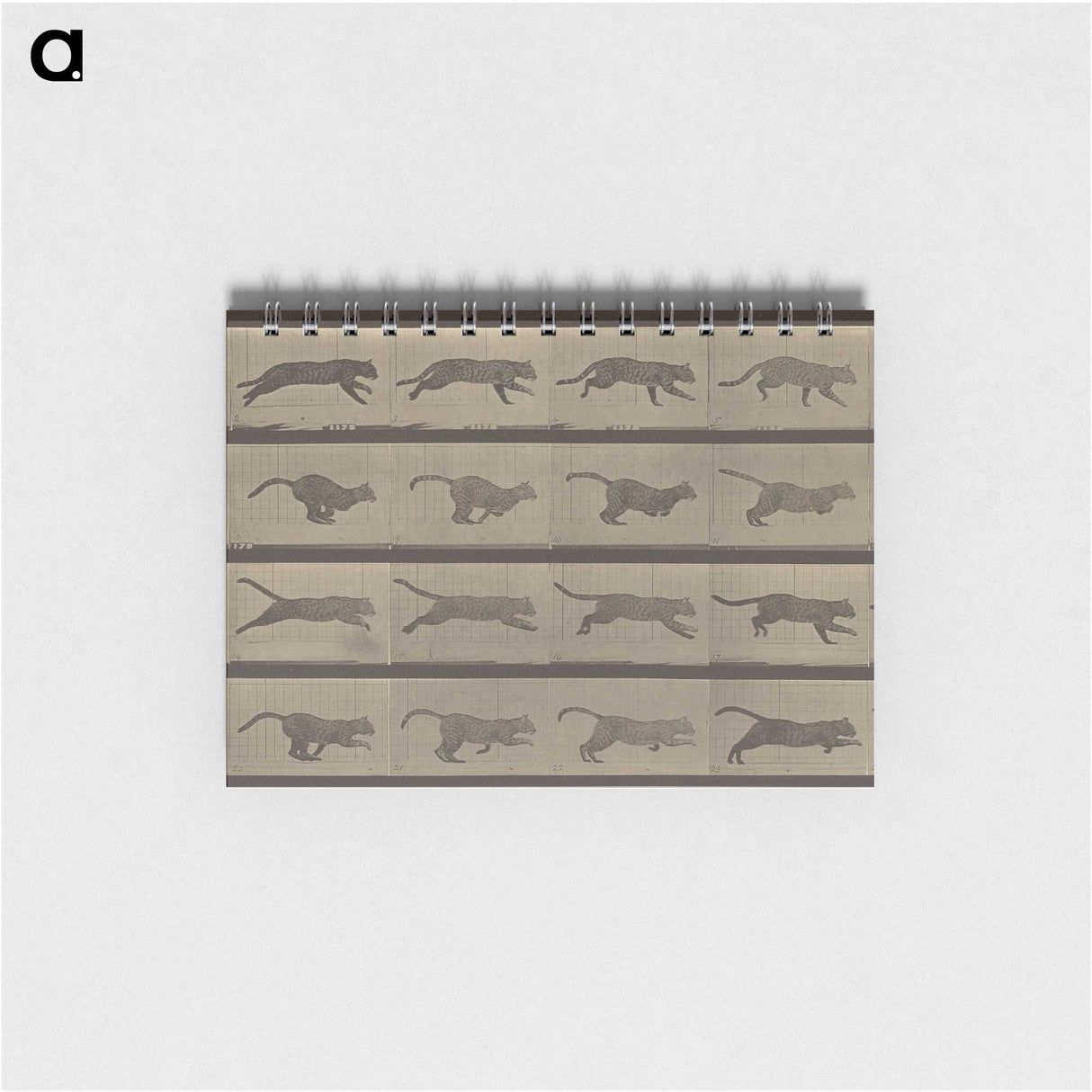 1-47_Eadweard-Muybridge_memo