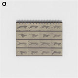1-47_Eadweard-Muybridge_memo