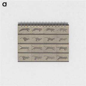 1-47_Eadweard-Muybridge_memo