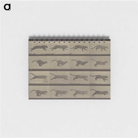 1-47_Eadweard-Muybridge_memo