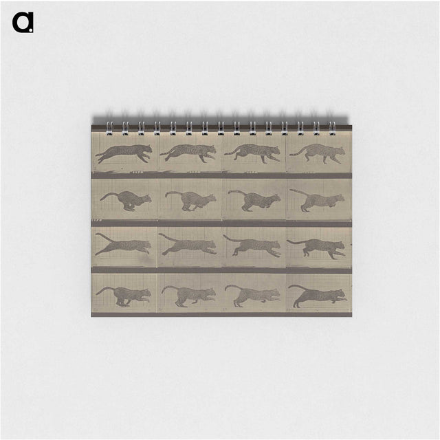 1-47_Eadweard-Muybridge_memo