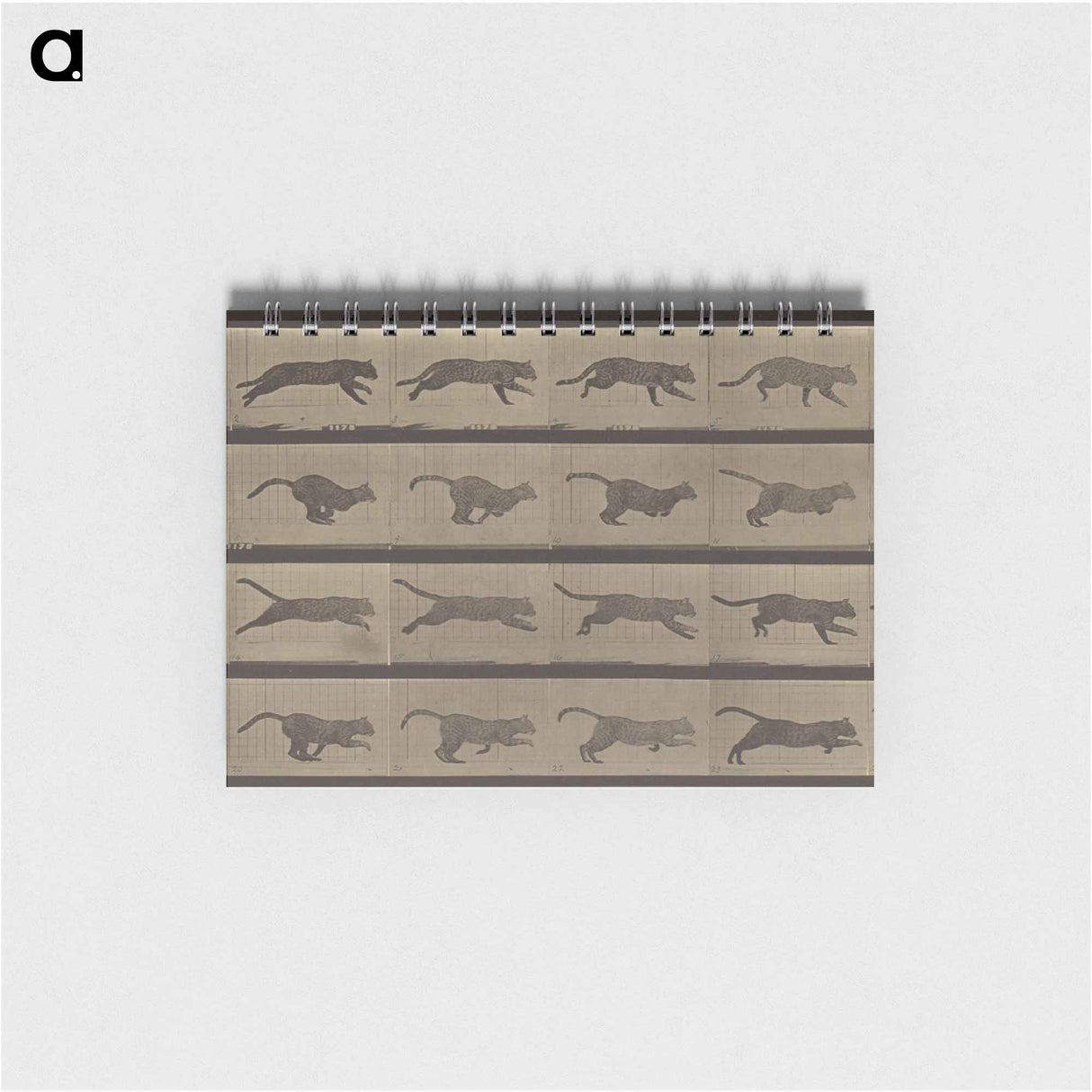 アートメモ帳-Animal Locomotion
 - エドワード マイブリッジ Memo.