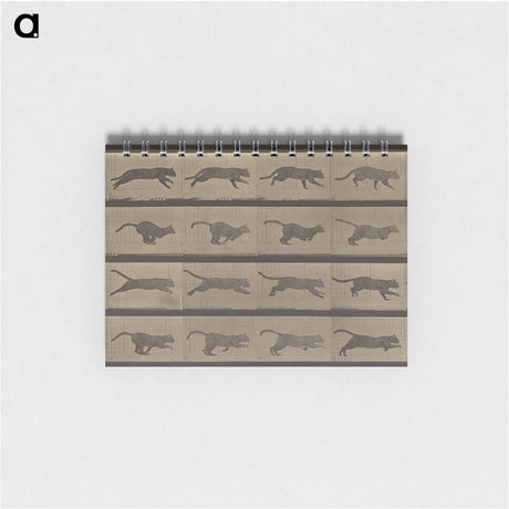 アートメモ帳-Animal Locomotion
 - エドワード マイブリッジ Memo.