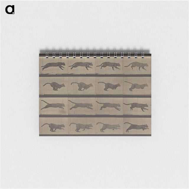 アートメモ帳-Animal Locomotion
 - エドワード マイブリッジ Memo.