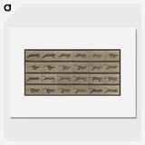 1-47_Eadweard-Muybridge_picture