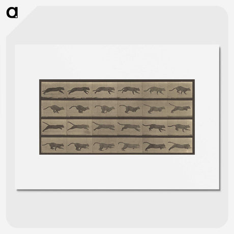 1-47_Eadweard-Muybridge_picture