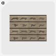 1-47_Eadweard-Muybridge_postcard