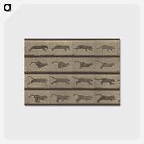 アートポストカード-Animal Locomotion
 - エドワード マイブリッジ Postcard.
