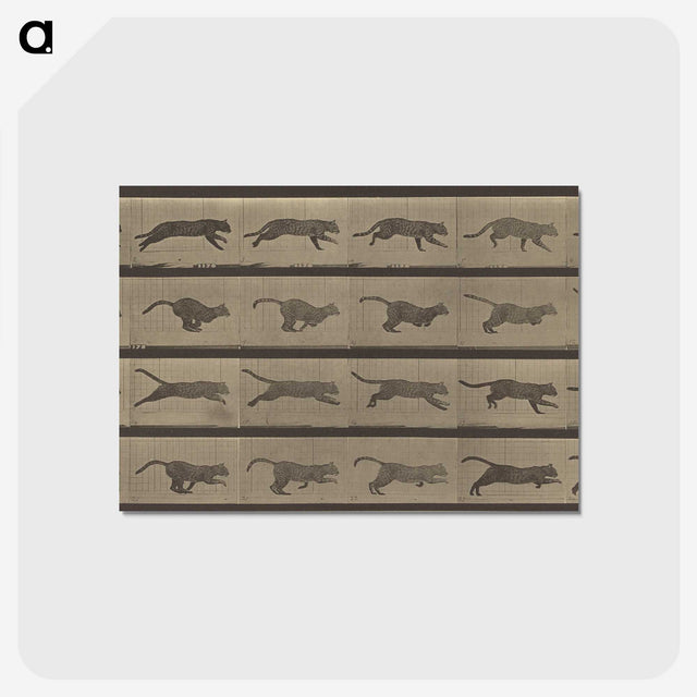 1-47_Eadweard-Muybridge_postcard